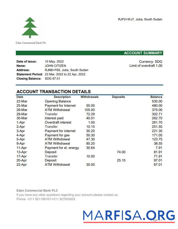 Printable South Sudan Eden Commercial bank statement excel template